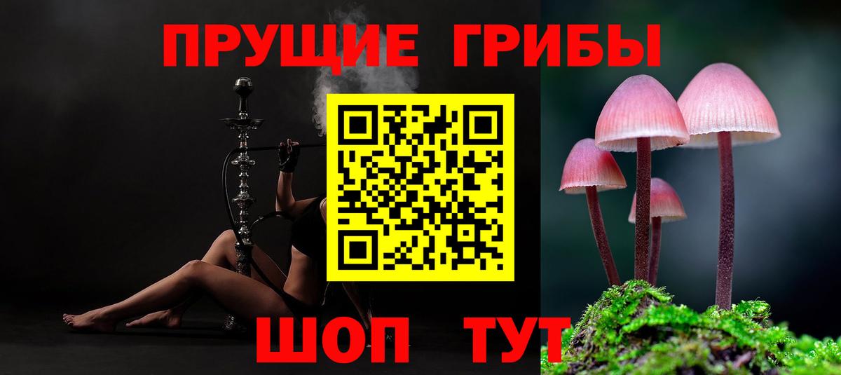 Зерноград  как найти закладки  Вход с VPN  Псилоцибиновые грибы ЛСД 