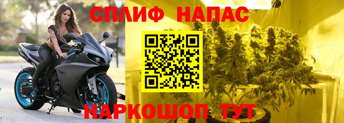 Канабис ГИДРОПОН Зерноград